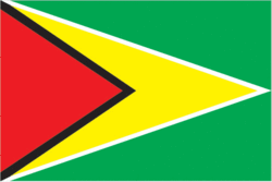 ガイアナの国旗
